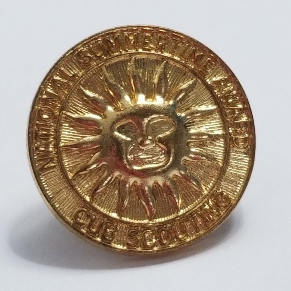 Vintage 90s Brass Cub Scout Boy Scouts BSA National Summertime Award Pin